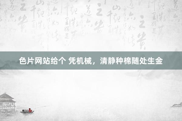 色片网站给个 凭机械，清静种棉随处生金