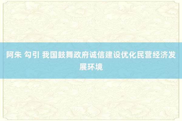 阿朱 勾引 我国鼓舞政府诚信建设优化民营经济发展环境