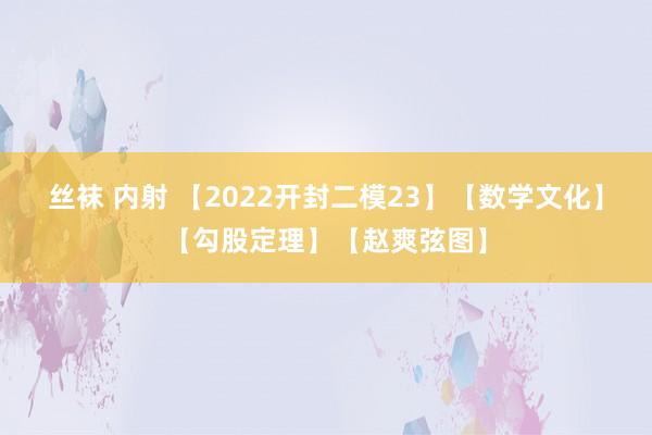 丝袜 内射 【2022开封二模23】【数学文化】【勾股定理】【赵爽弦图】