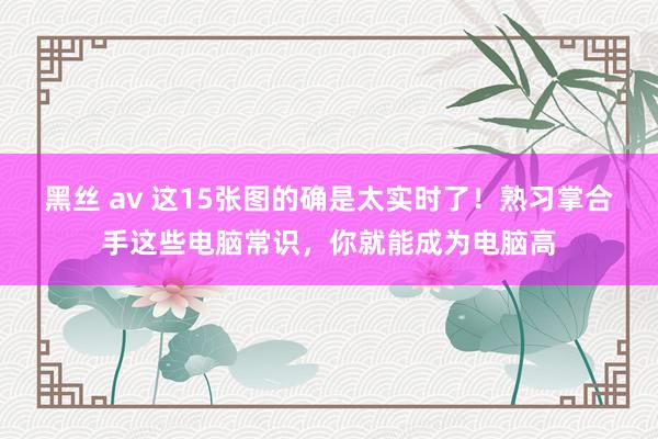 黑丝 av 这15张图的确是太实时了！熟习掌合手这些电脑常识，你就能成为电脑高