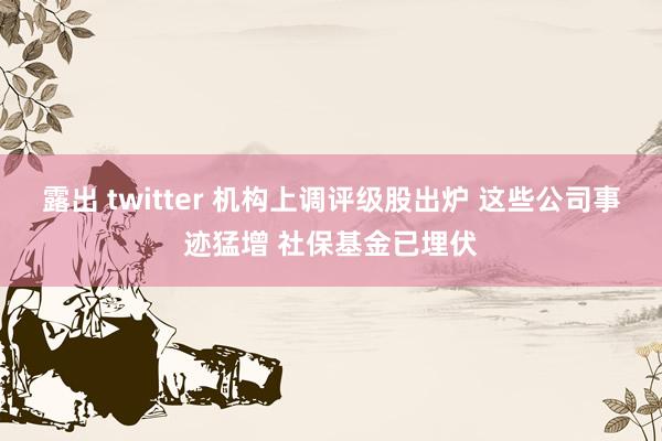 露出 twitter 机构上调评级股出炉 这些公司事迹猛增 社保基金已埋伏