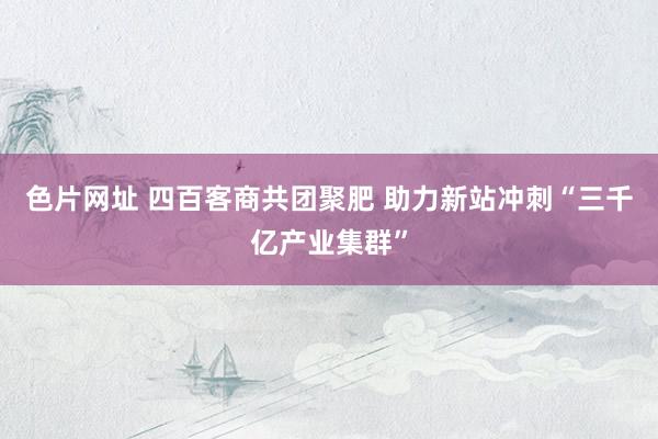 色片网址 四百客商共团聚肥 助力新站冲刺“三千亿产业集群”