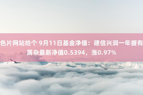 色片网站给个 9月11日基金净值：建信兴润一年握有羼杂最新净值0.5394，涨0.97%