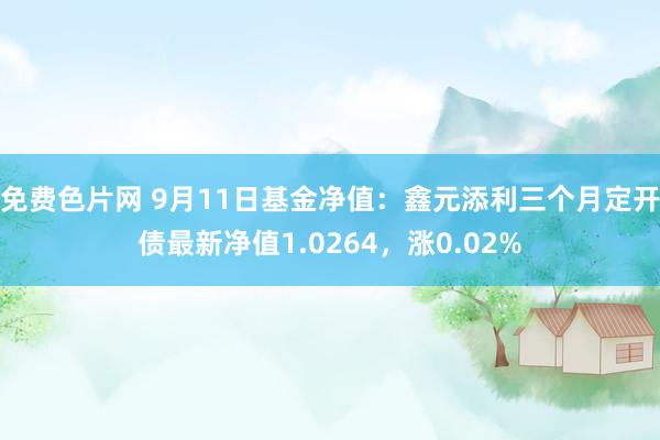 免费色片网 9月11日基金净值：鑫元添利三个月定开债最新净值1.0264，涨0.02%