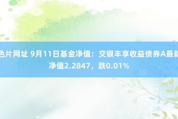 色片网址 9月11日基金净值：交银丰享收益债券A最新净值2.2847，跌0.01%