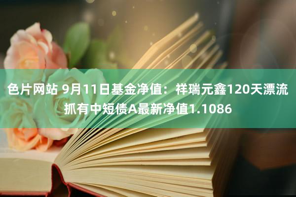 色片网站 9月11日基金净值：祥瑞元鑫120天漂流抓有中短债A最新净值1.1086