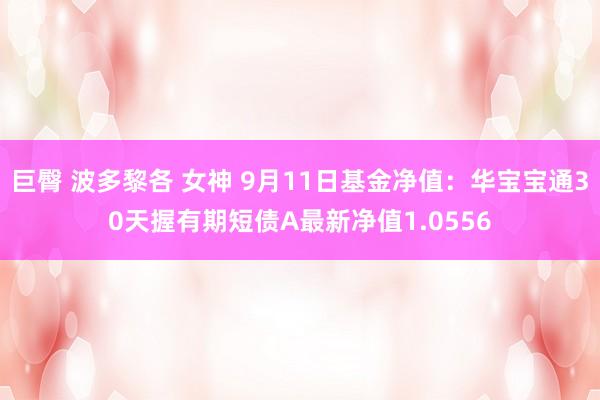 巨臀 波多黎各 女神 9月11日基金净值：华宝宝通30天握有期短债A最新净值1.0556