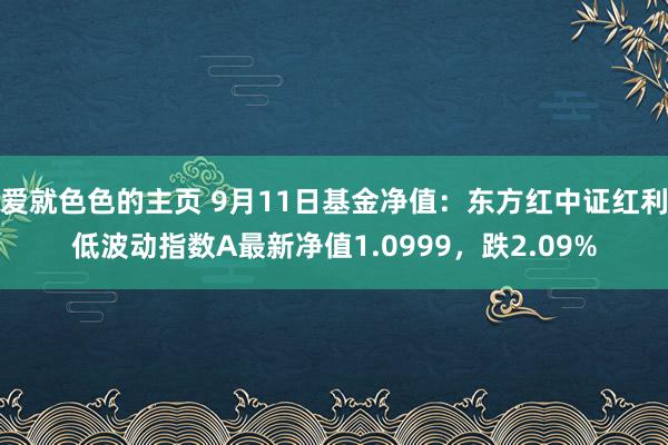 爱就色色的主页 9月11日基金净值：东方红中证红利低波动指数A最新净值1.0999，跌2.09%