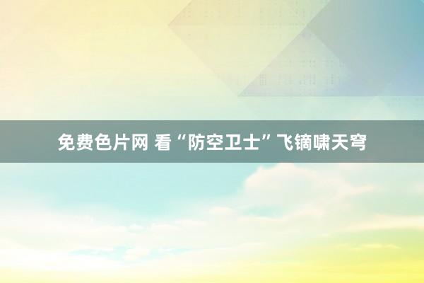 免费色片网 看“防空卫士”飞镝啸天穹