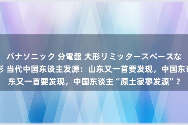 パナソニック 分電盤 大形リミッタースペースなし 露出・半埋込両用形 当代中国东谈主发源：山东又一首要发现，中国东谈主“原土寂寥发源”？