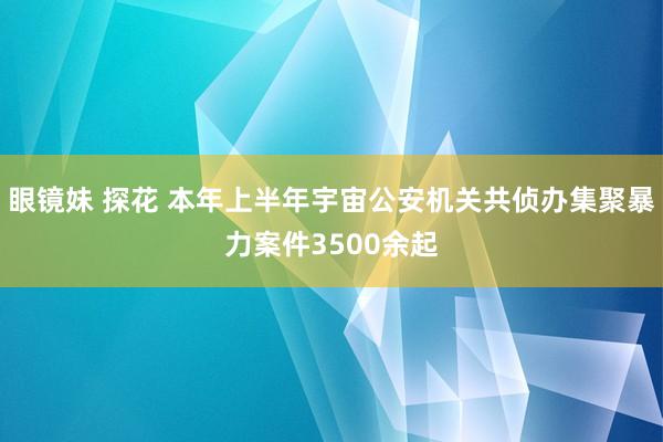 眼镜妹 探花 本年上半年宇宙公安机关共侦办集聚暴力案件3500余起