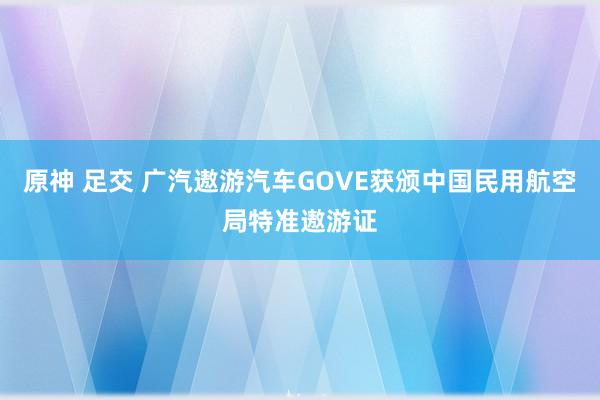 原神 足交 广汽遨游汽车GOVE获颁中国民用航空局特准遨游证