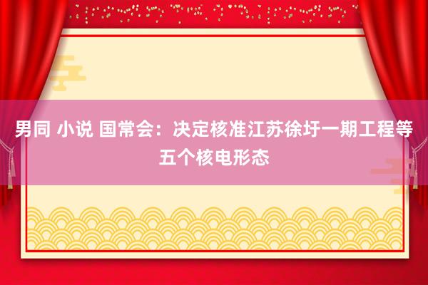 男同 小说 国常会：决定核准江苏徐圩一期工程等五个核电形态