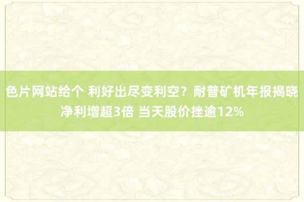 色片网站给个 利好出尽变利空？耐普矿机年报揭晓净利增超3倍 当天股价挫逾12%