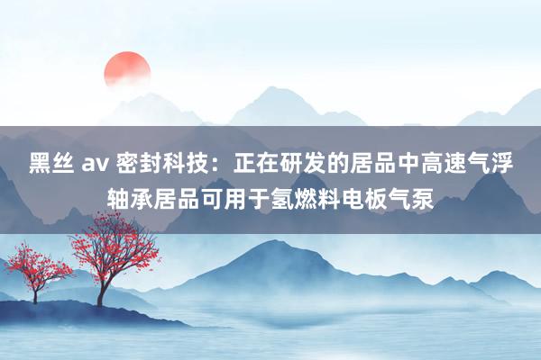 黑丝 av 密封科技：正在研发的居品中高速气浮轴承居品可用于氢燃料电板气泵