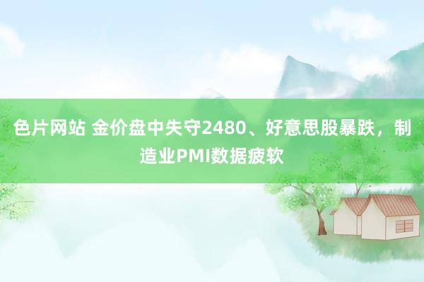 色片网站 金价盘中失守2480、好意思股暴跌，制造业PMI数据疲软