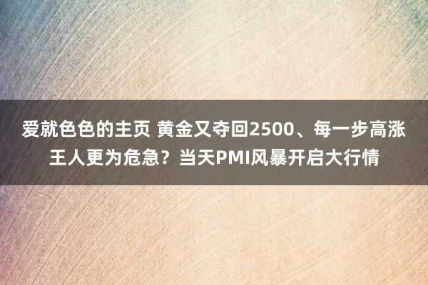 爱就色色的主页 黄金又夺回2500、每一步高涨王人更为危急？当天PMI风暴开启大行情