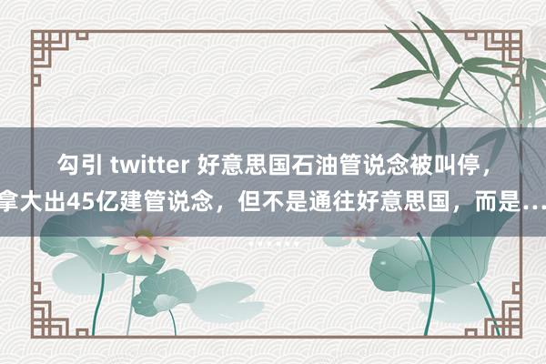 勾引 twitter 好意思国石油管说念被叫停，加拿大出45亿建管说念，但不是通往好意思国，而是……