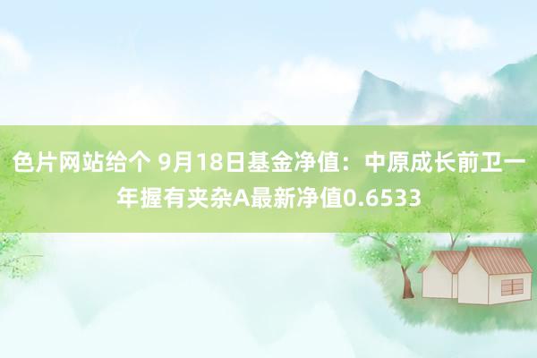 色片网站给个 9月18日基金净值：中原成长前卫一年握有夹杂A最新净值0.6533