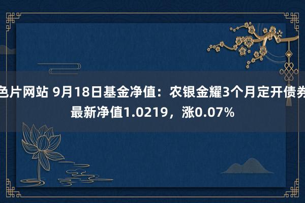 色片网站 9月18日基金净值：农银金耀3个月定开债券最新净值1.0219，涨0.07%