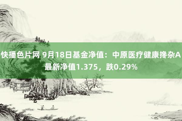 快播色片网 9月18日基金净值：中原医疗健康搀杂A最新净值1.375，跌0.29%