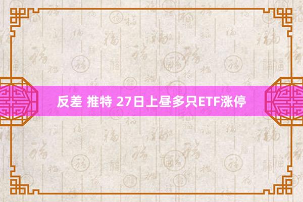 反差 推特 27日上昼多只ETF涨停