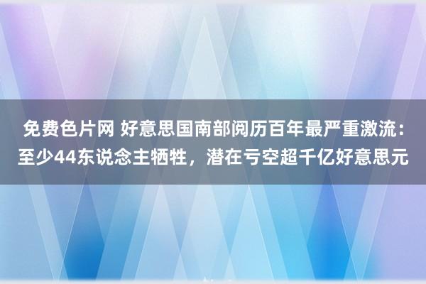 免费色片网 好意思国南部阅历百年最严重激流：至少44东说念主牺牲，潜在亏空超千亿好意思元