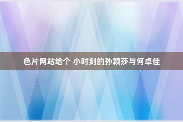 色片网站给个 小时刻的孙颖莎与何卓佳