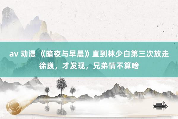 av 动漫 《暗夜与早晨》直到林少白第三次放走徐巍，才发现，兄弟情不算啥