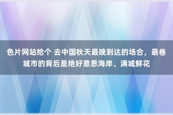 色片网站给个 去中国秋天最晚到达的场合，最卷城市的背后是绝好意思海岸、满城鲜花