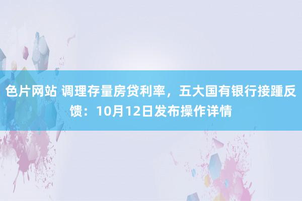 色片网站 调理存量房贷利率，五大国有银行接踵反馈：10月12日发布操作详情