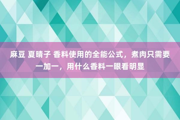 麻豆 夏晴子 香料使用的全能公式，煮肉只需要一加一，用什么香料一眼看明显