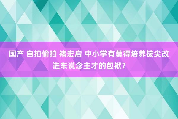 国产 自拍偷拍 褚宏启 中小学有莫得培养拔尖改进东说念主才的包袱？