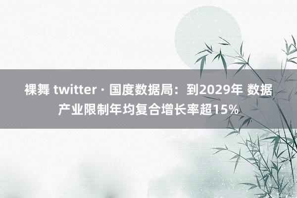 裸舞 twitter · 国度数据局：到2029年 数据产业限制年均复合增长率超15%