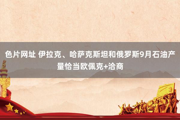 色片网址 伊拉克、哈萨克斯坦和俄罗斯9月石油产量恰当欧佩克+洽商