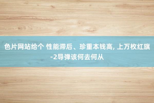 色片网站给个 性能滞后、珍重本钱高， 上万枚红旗-2导弹该何去何从