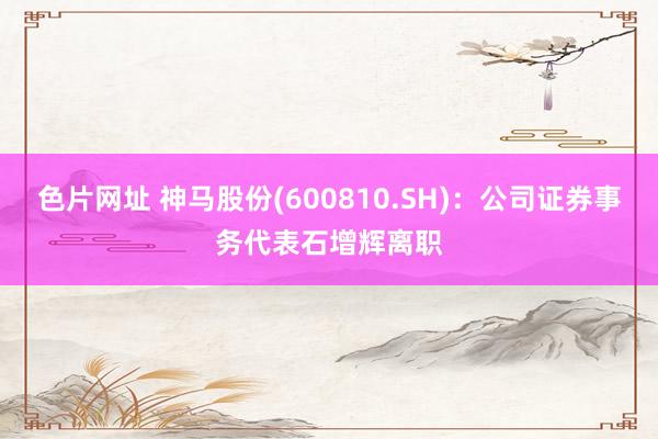 色片网址 神马股份(600810.SH)：公司证券事务代表石增辉离职