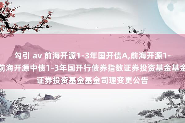 勾引 av 前海开源1-3年国开债A，前海开源1-3年国开债C: 前海开源中债1-3年国开行债券指数证券投资基金基金司理变更公告