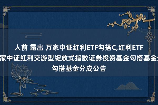 人前 露出 万家中证红利ETF勾搭C，红利ETF勾搭: 万家中证红利交游型绽放式指数证券投资基金勾搭基金分成公告