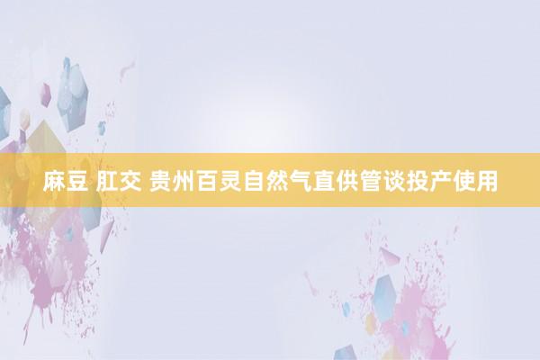 麻豆 肛交 贵州百灵自然气直供管谈投产使用