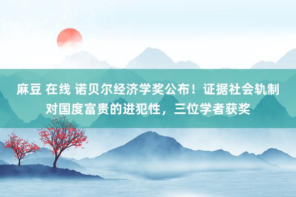 麻豆 在线 诺贝尔经济学奖公布！证据社会轨制对国度富贵的进犯性，三位学者获奖