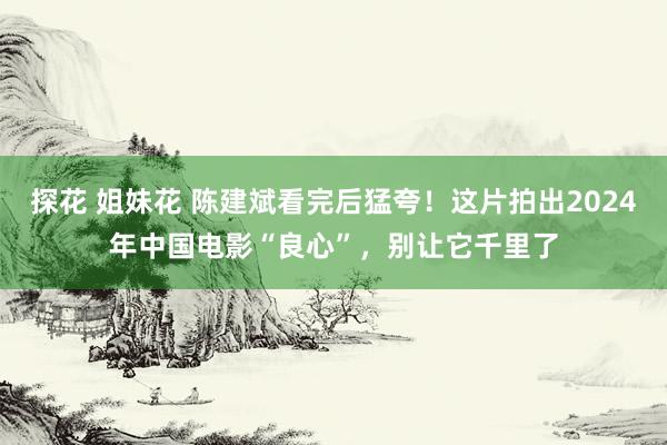 探花 姐妹花 陈建斌看完后猛夸！这片拍出2024年中国电影“良心”，别让它千里了