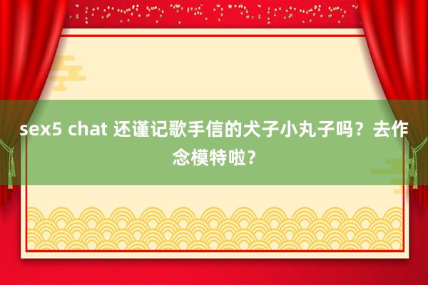 sex5 chat 还谨记歌手信的犬子小丸子吗？去作念模特啦？