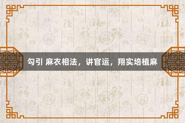 勾引 麻衣相法，讲官运，翔实培植麻