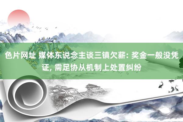 色片网址 媒体东说念主谈三镇欠薪: 奖金一般没凭证， 需足协从机制上处置纠纷