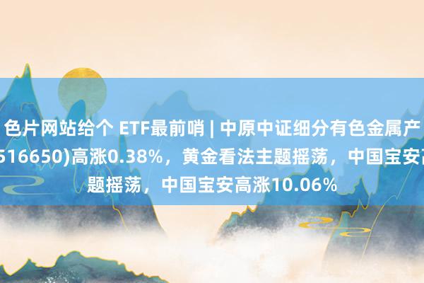 色片网站给个 ETF最前哨 | 中原中证细分有色金属产业主题ETF(516650)高涨0.38%，黄金看法主题摇荡，中国宝安高涨10.06%