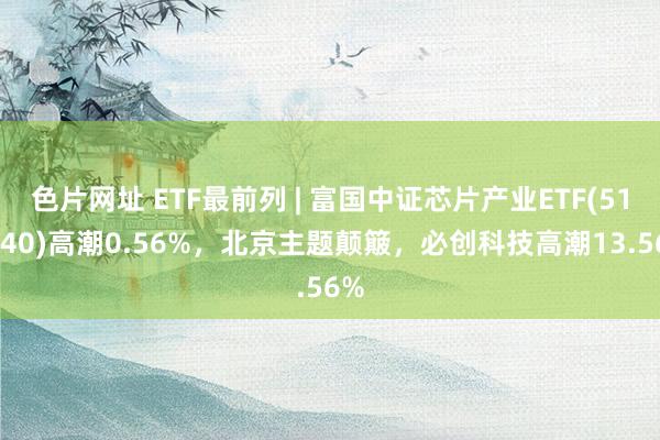 色片网址 ETF最前列 | 富国中证芯片产业ETF(516640)高潮0.56%，北京主题颠簸，必创科技高潮13.56%