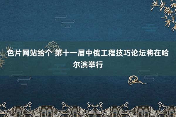 色片网站给个 第十一届中俄工程技巧论坛将在哈尔滨举行