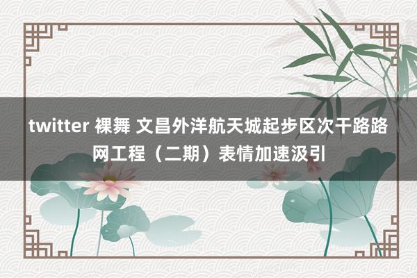 twitter 裸舞 文昌外洋航天城起步区次干路路网工程（二期）表情加速汲引