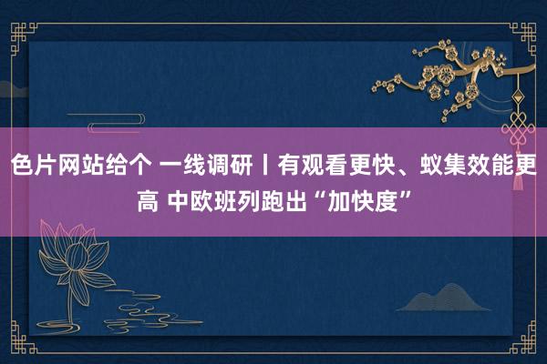 色片网站给个 一线调研丨有观看更快、蚁集效能更高 中欧班列跑出“加快度”